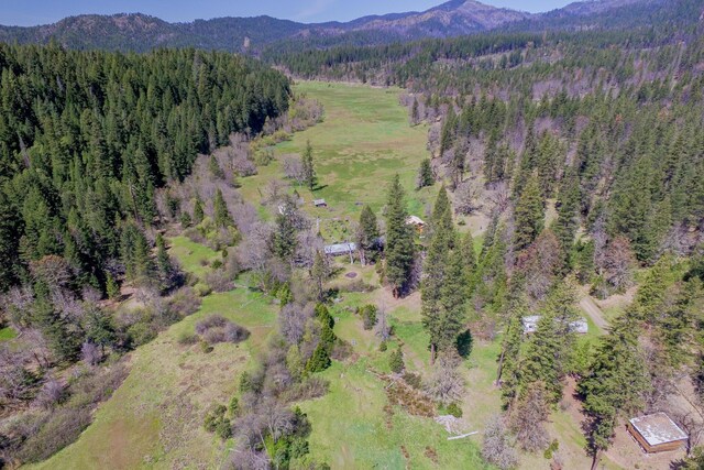 1040 Mullane Trl, Big Bar, CA 96010 - photo 1