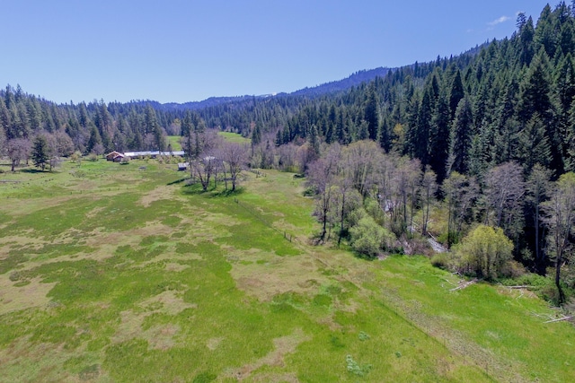 1040 Mullane Trl, Big Bar, CA 96010 - photo 36