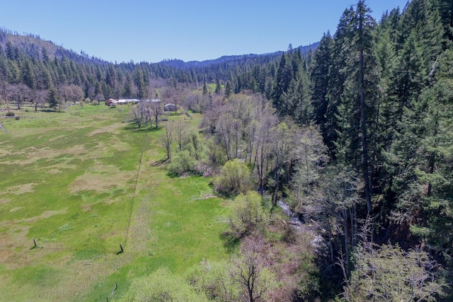 1040 Mullane Trl, Big Bar, CA 96010 - photo 2