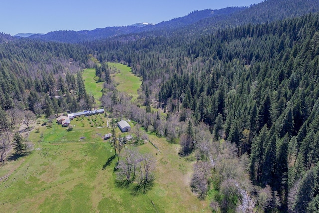 1040 Mullane Trl, Big Bar, CA 96010 - photo 12