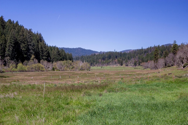 1040 Mullane Trl, Big Bar, CA 96010 - photo 37