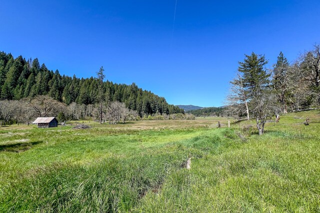 1040 Mullane Trl, Big Bar, CA 96010 - photo 39