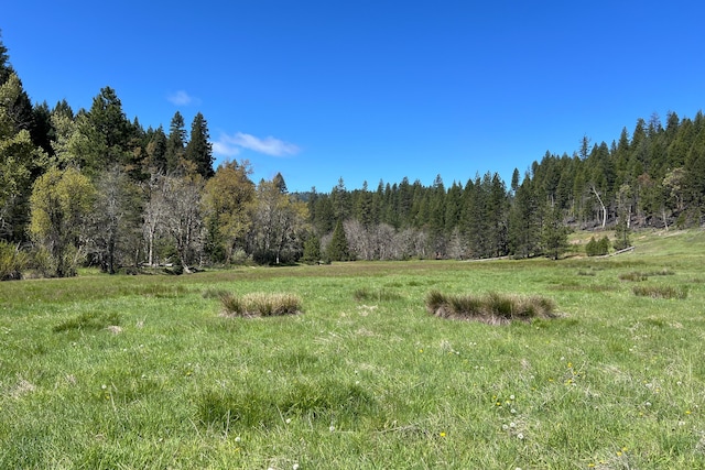 1040 Mullane Trl, Big Bar, CA 96010 - photo 40