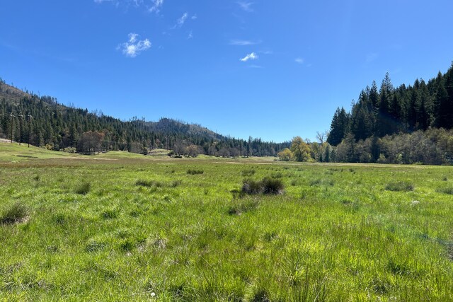 1040 Mullane Trl, Big Bar, CA 96010 - photo 41