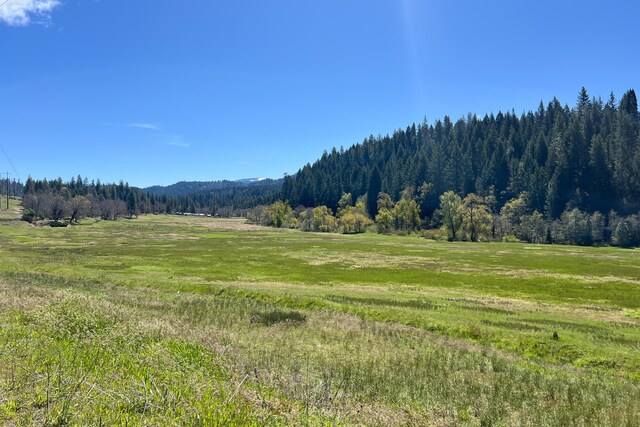 1040 Mullane Trl, Big Bar, CA 96010 - photo 8