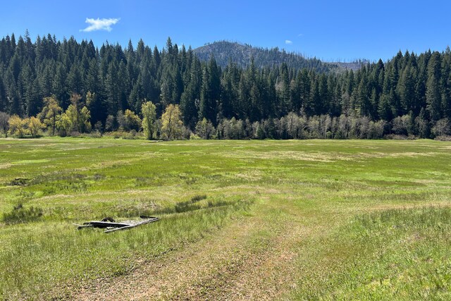 1040 Mullane Trl, Big Bar, CA 96010 - photo 42