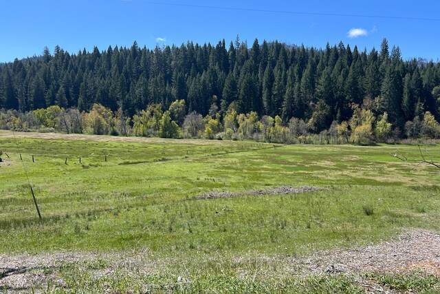 1040 Mullane Trl, Big Bar, CA 96010 - photo 43
