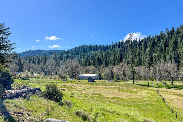 1040 Mullane Trl, Big Bar, CA 96010 - photo 7
