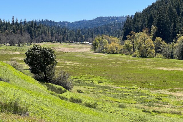 1040 Mullane Trl, Big Bar, CA 96010 - photo 9