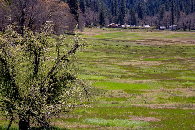 1040 Mullane Trl, Big Bar, CA 96010 - photo 44
