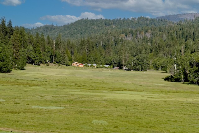1040 Mullane Trl, Big Bar, CA 96010 - photo 3