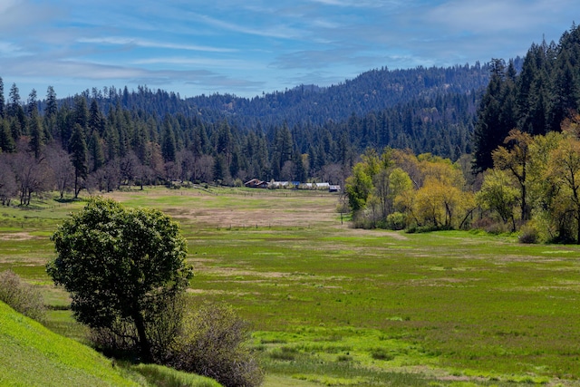 1040 Mullane Trl, Big Bar, CA 96010 - photo 45