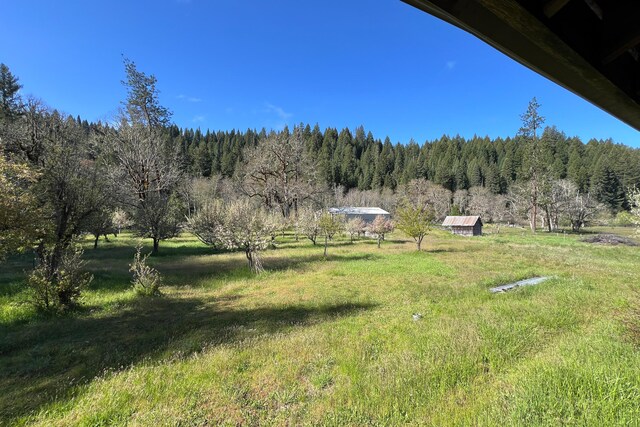 1040 Mullane Trl, Big Bar, CA 96010 - photo 46