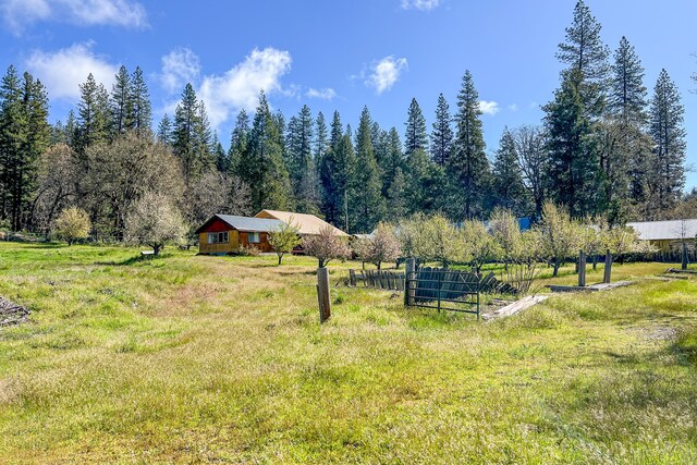 1040 Mullane Trl, Big Bar, CA 96010 - photo 10