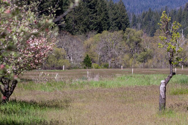 1040 Mullane Trl, Big Bar, CA 96010 - photo 48