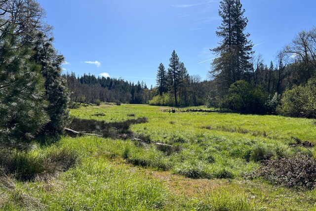 1040 Mullane Trl, Big Bar, CA 96010 - photo 49