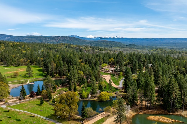 birds eye view of property featuring a water and mountain view