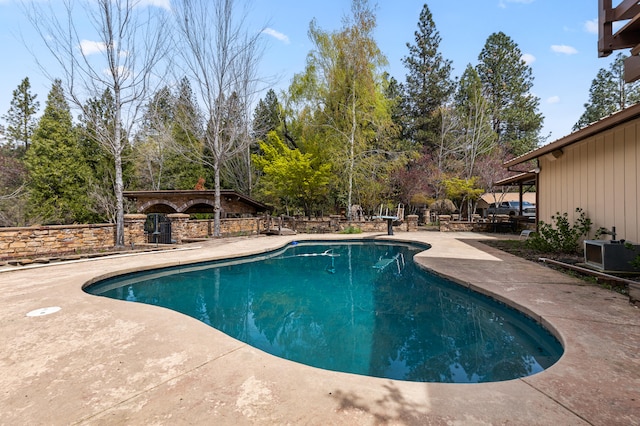 view of pool with a patio area