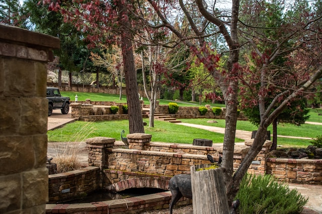 surrounding community featuring a yard