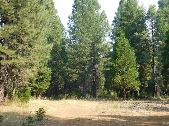 Listing photo 3 for LOT11 Deer Flat Rd, Shingletown CA 96088