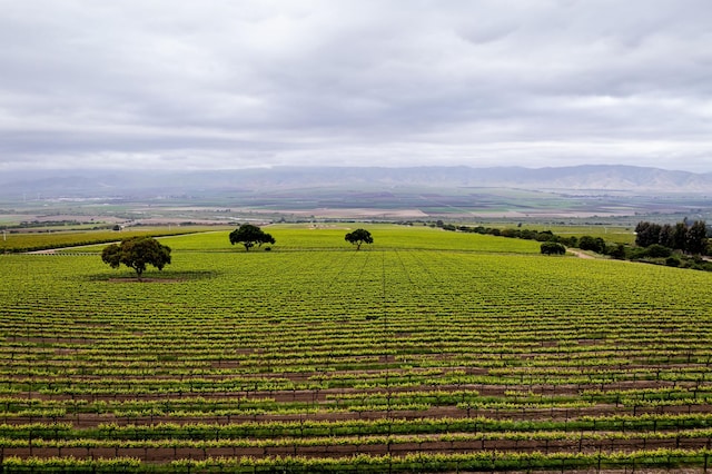 exterior space featuring a mountain view and a rural view