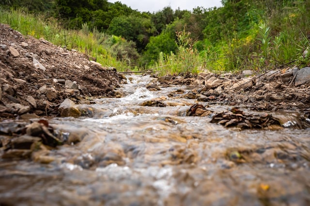 view of local wilderness featuring a water view