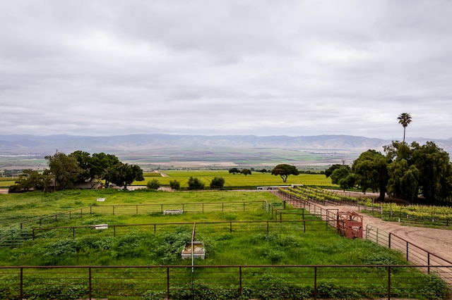 view of yard with a rural view and a mountain view