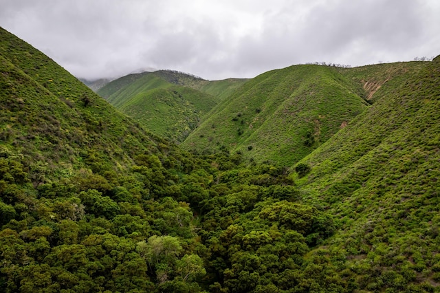 view of mountain view