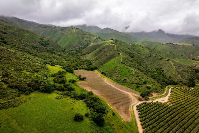 bird's eye view with a mountain view and a rural view