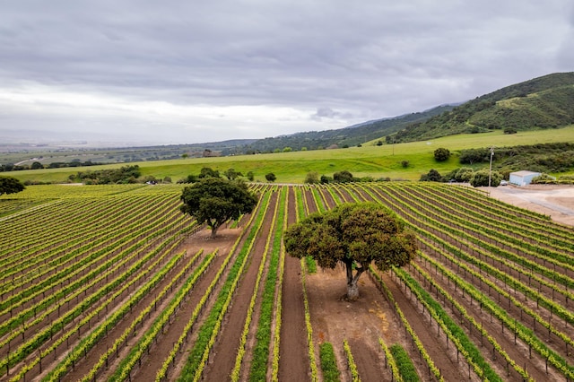 aerial view featuring a rural view