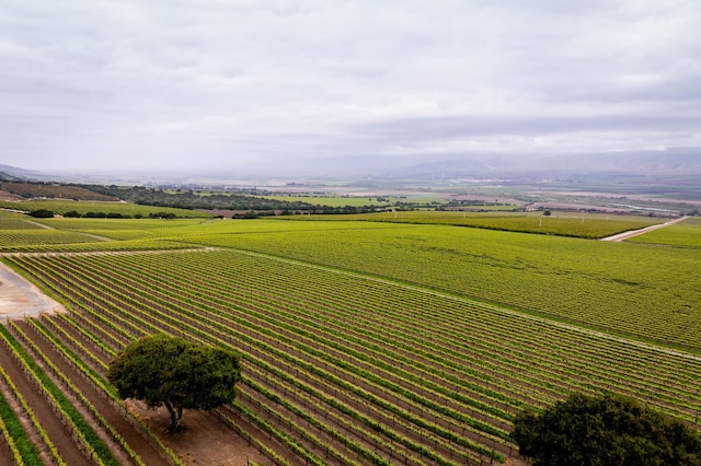 drone / aerial view with a rural view