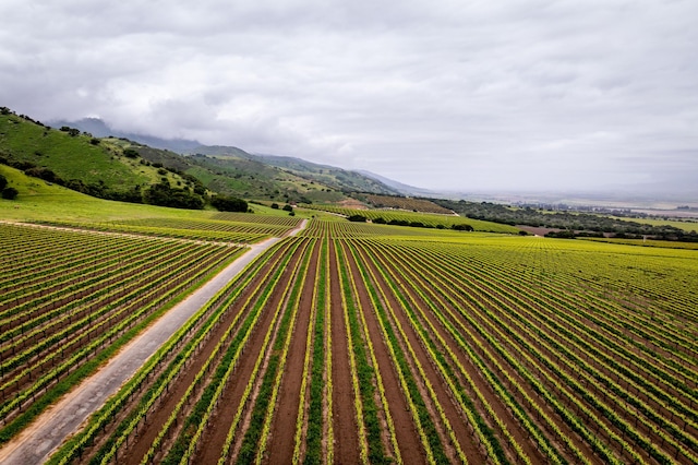 bird's eye view featuring a rural view