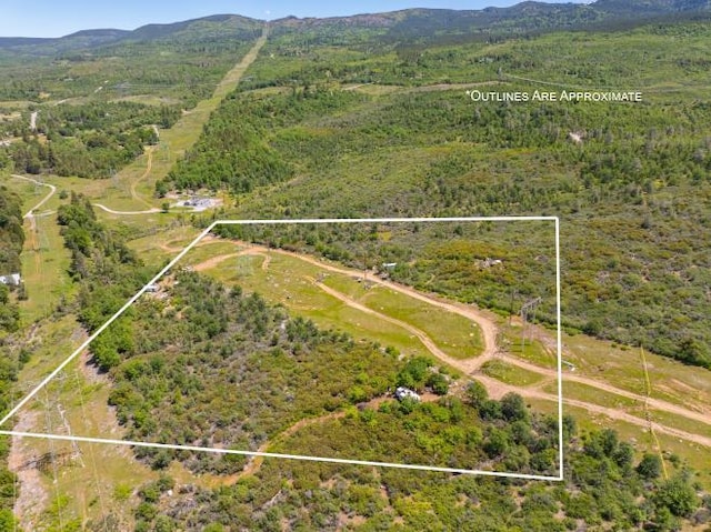 Terry Mill Rd, Round Mountain CA, 96084 land for sale