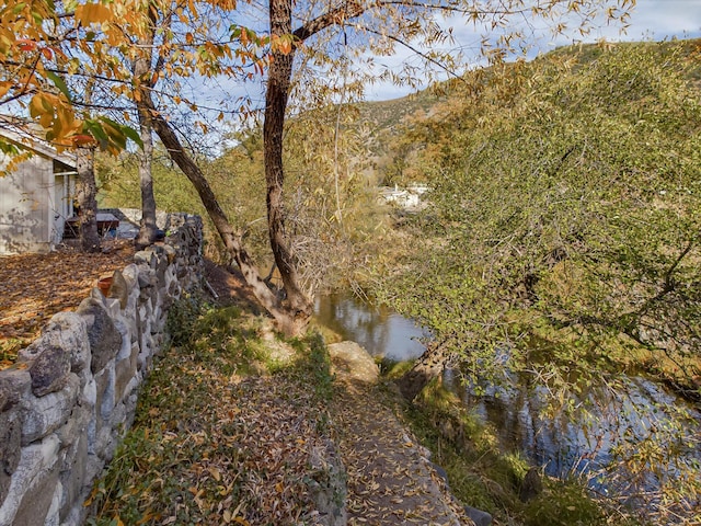 view of yard with a water and mountain view