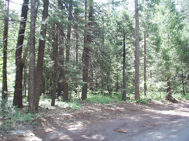 Listing photo 2 for LOT22 Eastwood Way, Shingletown CA 96088