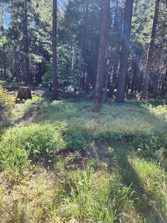 LOT22 Eastwood Way, Shingletown CA, 96088 land for sale