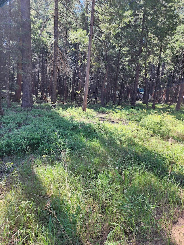 Listing photo 3 for LOT22 Eastwood Way, Shingletown CA 96088