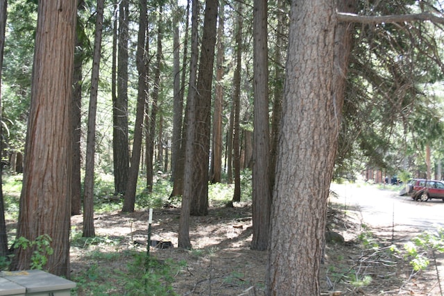 LOT61 Starlite Pines Rd, Shingletown CA, 96088 land for sale