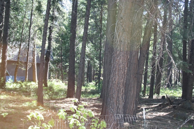 Listing photo 2 for LOT61 Starlite Pines Rd, Shingletown CA 96088