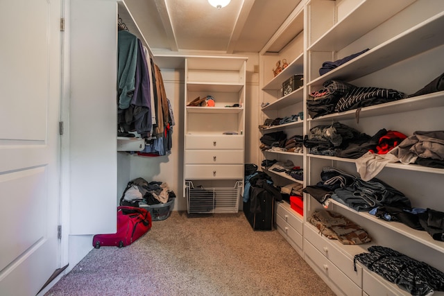 walk in closet with light colored carpet