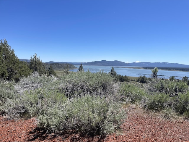 507005 Eagle Lake Estates Dr, Susanville CA, 96130 land for sale