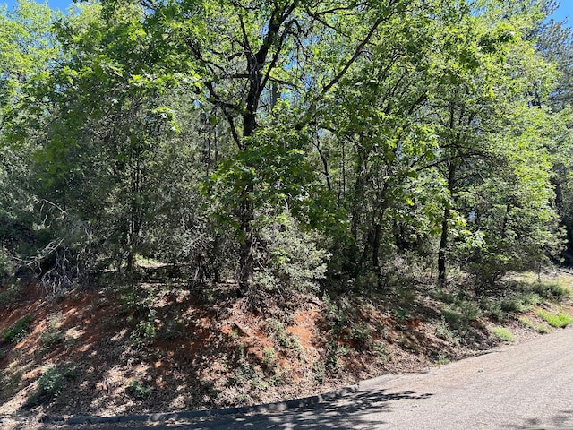 LOT Wintoon Way, CA, 96051 land for sale