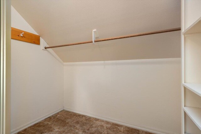 spacious closet featuring lofted ceiling and carpet