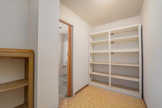 walk in closet with light carpet