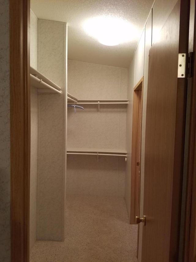 spacious closet with carpet