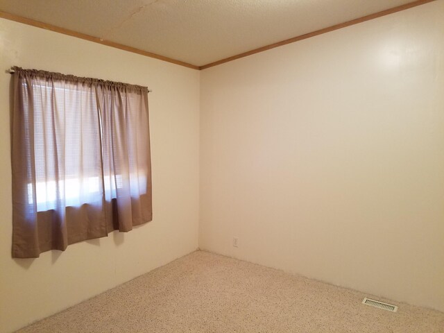 empty room with carpet floors and a textured ceiling