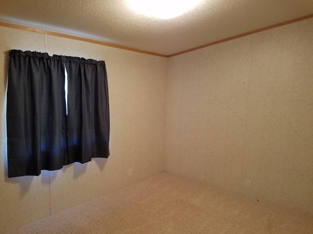 unfurnished room with carpet and a textured ceiling