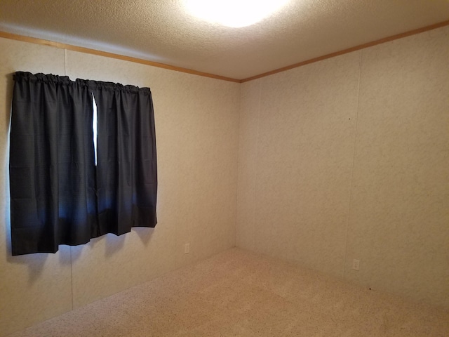 carpeted spare room with crown molding and a textured ceiling