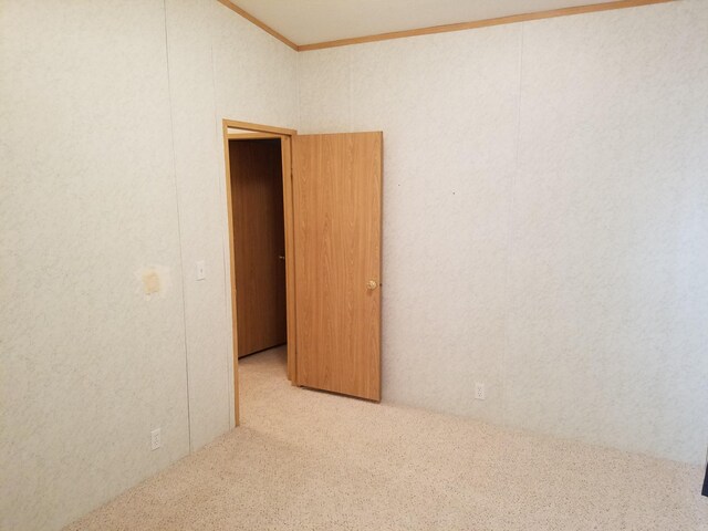 spare room featuring ornamental molding and light colored carpet