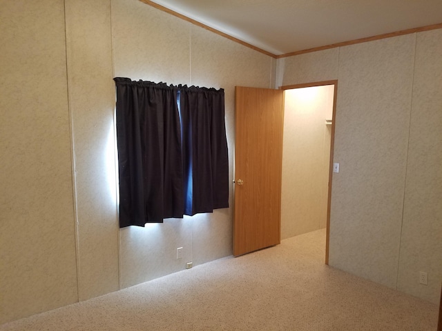 unfurnished room featuring ornamental molding and carpet flooring